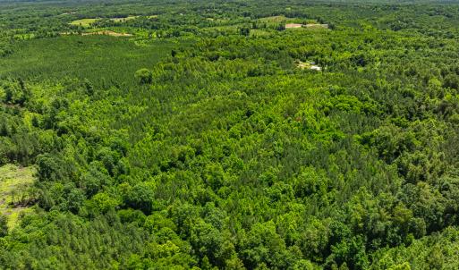 Photo #48 of Off Wilson Road - Lot 6, Providence, NC 33.5 acres