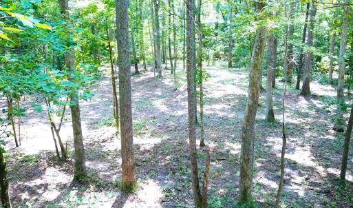 Photo #5 of Off Bank Street, Waverly, VA 4.4 acres