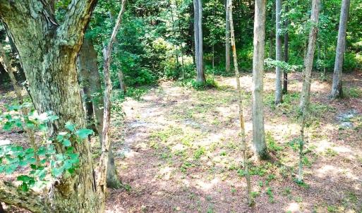 Photo #6 of Off Bank Street, Waverly, VA 4.4 acres