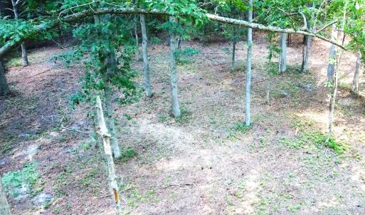 Photo #7 of Off Bank Street, Waverly, VA 4.4 acres