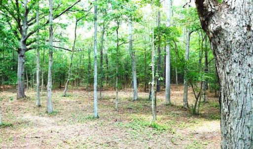 Photo #8 of Off Bank Street, Waverly, VA 4.4 acres