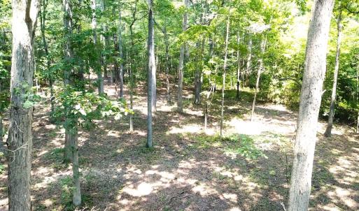 Photo #9 of Off Bank Street, Waverly, VA 4.4 acres