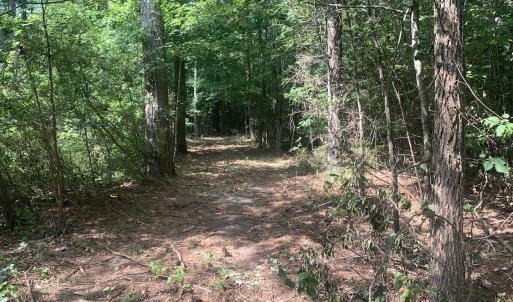 Photo #10 of Off Bank Street, Waverly, VA 4.4 acres