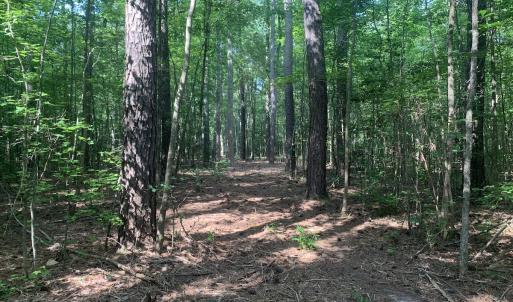 Photo #11 of Off Bank Street, Waverly, VA 4.4 acres