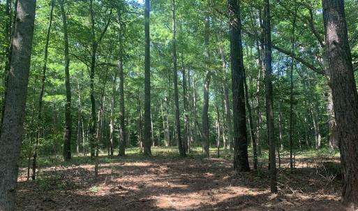 Photo #12 of Off Bank Street, Waverly, VA 4.4 acres