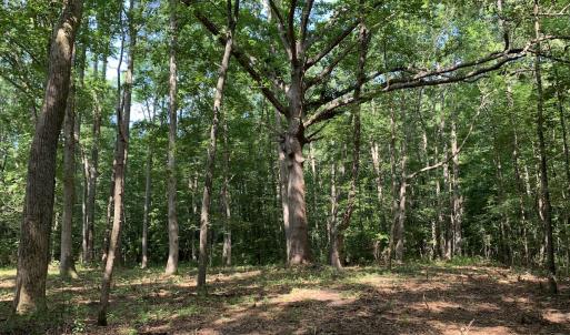 Photo #13 of Off Bank Street, Waverly, VA 4.4 acres