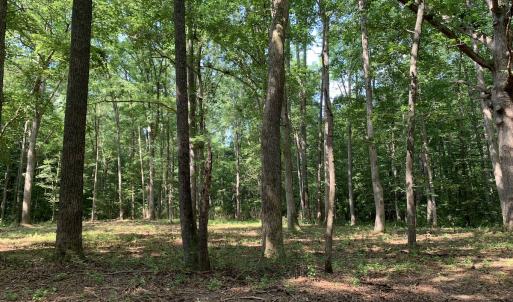 Photo #14 of Off Bank Street, Waverly, VA 4.4 acres