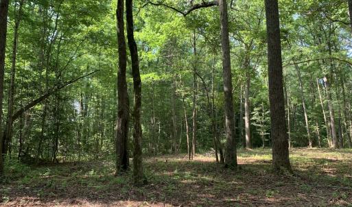 Photo #15 of Off Bank Street, Waverly, VA 4.4 acres