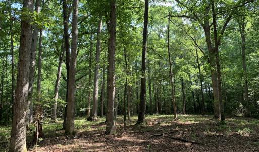 Photo #16 of Off Bank Street, Waverly, VA 4.4 acres