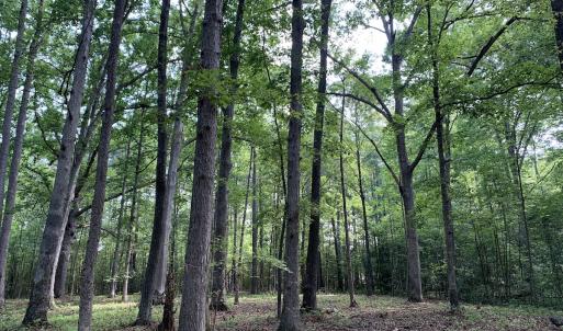 Photo #18 of Off Bank Street, Waverly, VA 4.4 acres