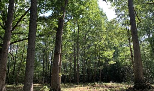 Photo #20 of Off Bank Street, Waverly, VA 4.4 acres