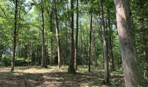 Photo #23 of Off Bank Street, Waverly, VA 4.4 acres