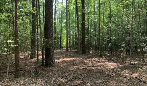 Photo #25 of Off Bank Street, Waverly, VA 4.4 acres