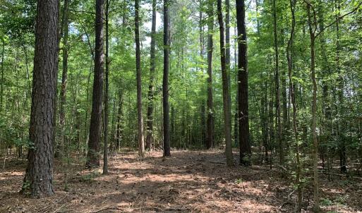 Photo #26 of Off Bank Street, Waverly, VA 4.4 acres