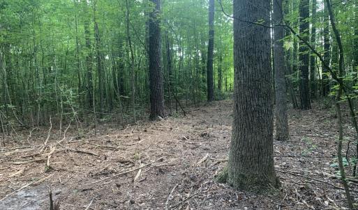 Photo #27 of Off Bank Street, Waverly, VA 4.4 acres