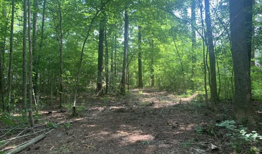 Photo #28 of Off Bank Street, Waverly, VA 4.4 acres