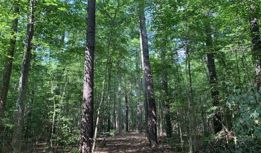 Photo #29 of Off Bank Street, Waverly, VA 4.4 acres