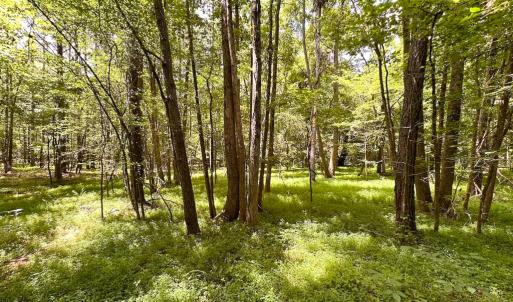 Photo #2 of SOLD property in Off Rolling Acres Rd, Skippers, VA 3.0 acres