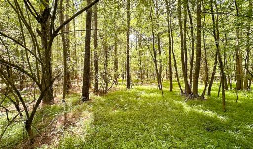 Photo #4 of SOLD property in Off Rolling Acres Rd, Skippers, VA 3.0 acres