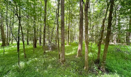 Photo #5 of SOLD property in Off Rolling Acres Rd, Skippers, VA 3.0 acres