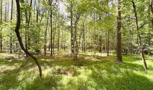 Photo #6 of SOLD property in Off Rolling Acres Rd, Skippers, VA 3.0 acres