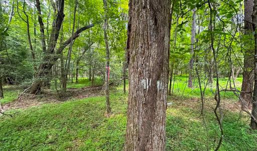 Photo #7 of SOLD property in Off Rolling Acres Rd, Skippers, VA 3.0 acres