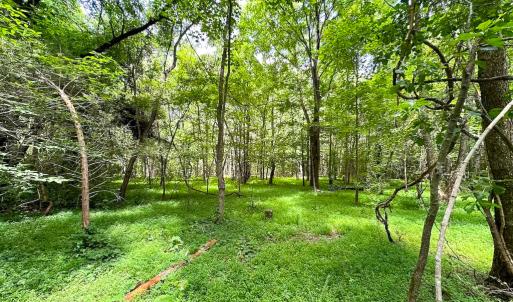 Photo #8 of SOLD property in Off Rolling Acres Rd, Skippers, VA 3.0 acres