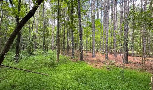 Photo #9 of SOLD property in Off Rolling Acres Rd, Skippers, VA 3.0 acres