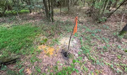 Photo #10 of SOLD property in Off Rolling Acres Rd, Skippers, VA 3.0 acres