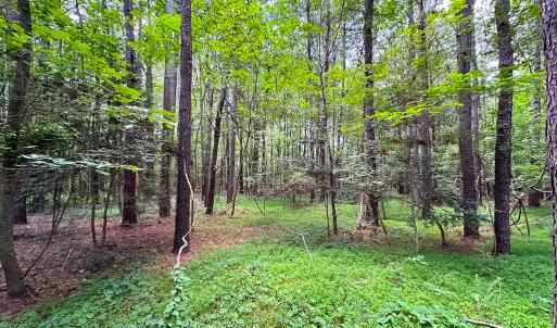 Photo #11 of SOLD property in Off Rolling Acres Rd, Skippers, VA 3.0 acres