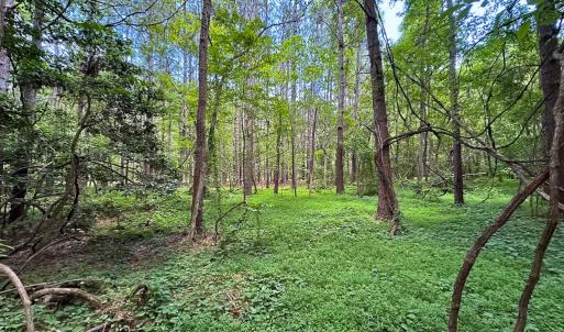 Photo #12 of SOLD property in Off Rolling Acres Rd, Skippers, VA 3.0 acres