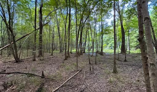 Photo #14 of SOLD property in Off Rolling Acres Rd, Skippers, VA 3.0 acres