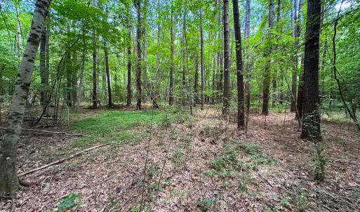Photo #17 of SOLD property in Off Rolling Acres Rd, Skippers, VA 3.0 acres