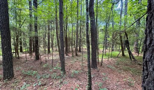 Photo #18 of SOLD property in Off Rolling Acres Rd, Skippers, VA 3.0 acres
