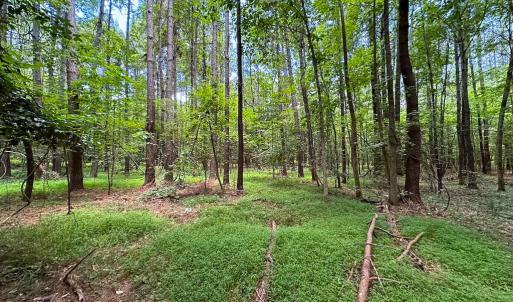 Photo #19 of SOLD property in Off Rolling Acres Rd, Skippers, VA 3.0 acres