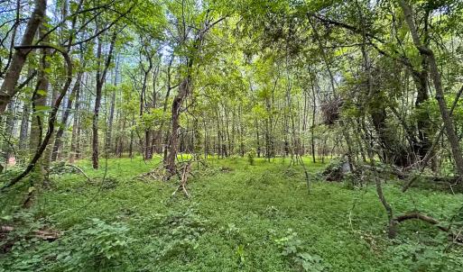 Photo #20 of SOLD property in Off Rolling Acres Rd, Skippers, VA 3.0 acres