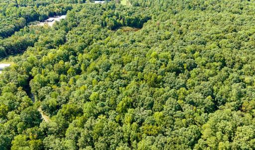 Photo #13 of Off Mays Chapel Rd, Bear Creek, NC 20.0 acres