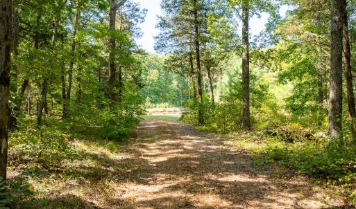 Photo #14 of Off Mays Chapel Rd, Bear Creek, NC 20.0 acres
