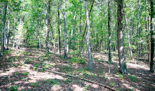 Photo #16 of Off Mays Chapel Rd, Bear Creek, NC 20.0 acres