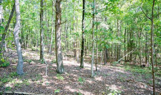 Photo #17 of Off Mays Chapel Rd, Bear Creek, NC 20.0 acres