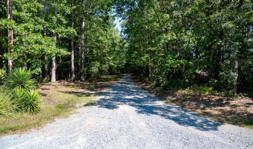 Photo #7 of Off Mays Chapel Rd, Bear Creek, NC 20.0 acres