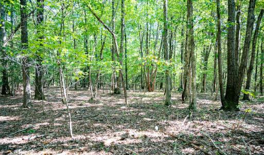 Photo #21 of Off Mays Chapel Rd, Bear Creek, NC 20.0 acres
