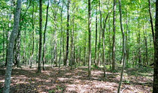 Photo #22 of Off Mays Chapel Rd, Bear Creek, NC 20.0 acres