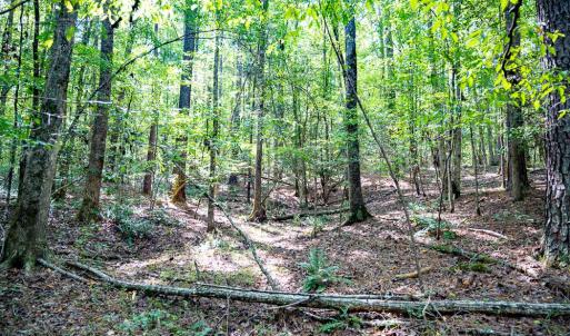 Photo #23 of Off Mays Chapel Rd, Bear Creek, NC 20.0 acres