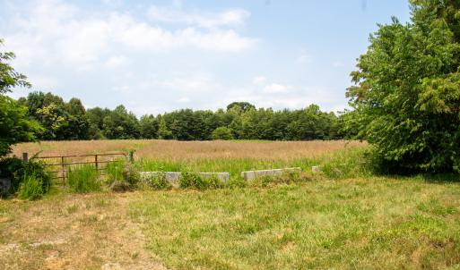Photo #4 of Off A.L. Philpott Hwy, Martinsville, VA 40.6 acres