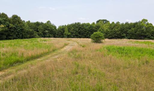 Photo #5 of Off A.L. Philpott Hwy, Martinsville, VA 40.6 acres