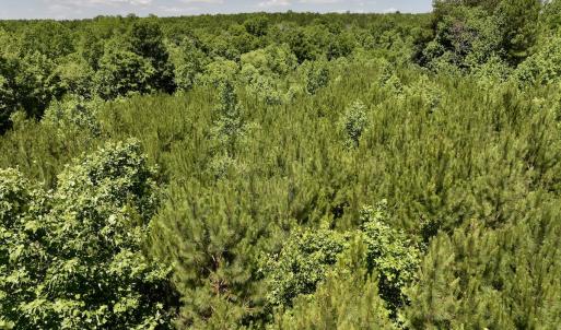 Photo #11 of SOLD property in Off Baltimore Rd, Warrenton, NC 2.4 acres