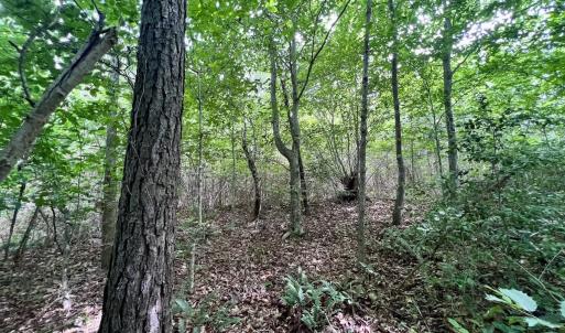 Photo #13 of SOLD property in Off Baltimore Rd, Warrenton, NC 2.4 acres