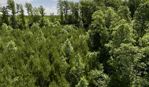 Photo #17 of SOLD property in Off Baltimore Rd, Warrenton, NC 2.4 acres