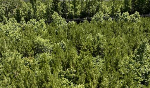 Photo #18 of SOLD property in Off Baltimore Rd, Warrenton, NC 2.4 acres